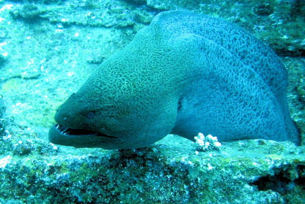 Rencontre surprenante