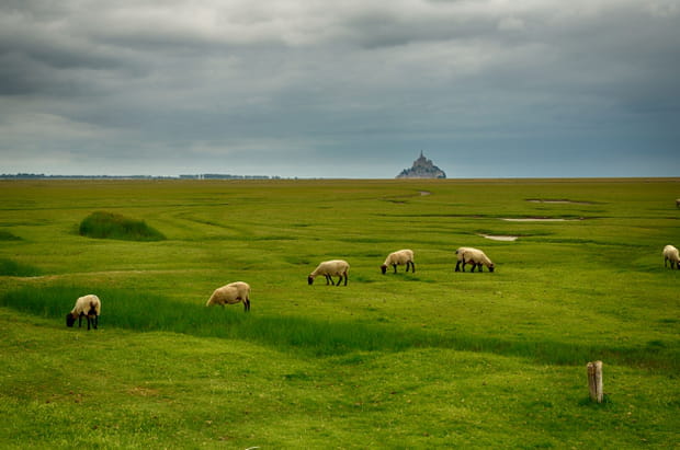 Le sentier des douaniers en Bretagne
