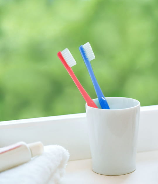 La brosse &agrave; dent, qui retient toutes les bact&eacute;ries
