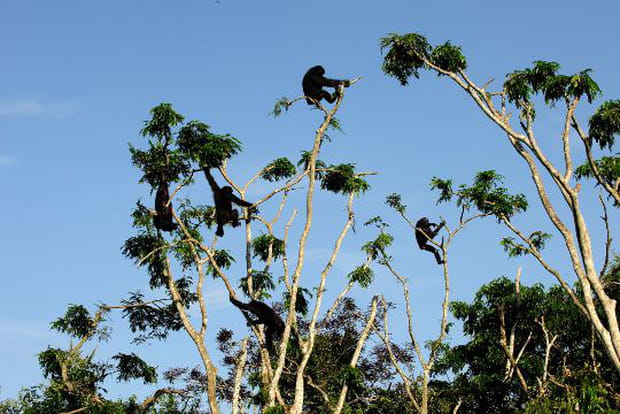 Survivre dans la nature sauvage