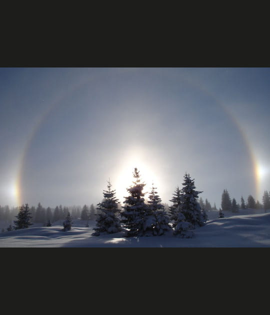 Snow-bow