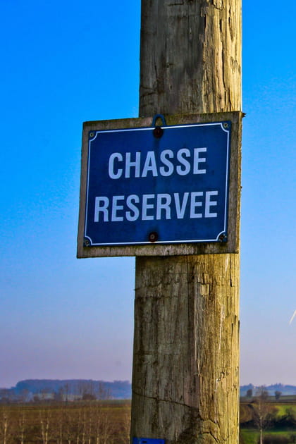 De la chasse &quot;en enclos&quot;, pour tuer des animaux mis sur place