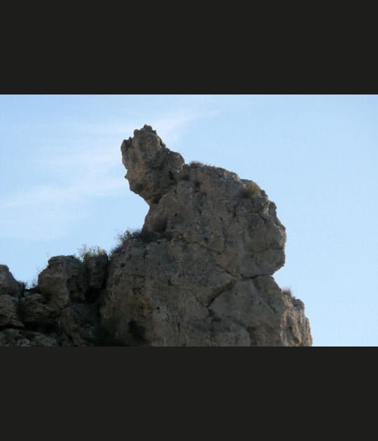 Le lapin