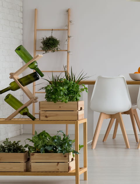 Cultivez un mini potager