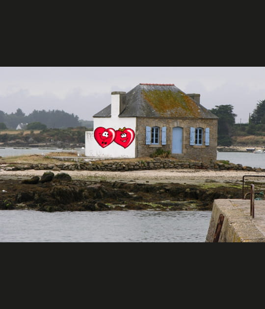 C'est une maison bleue