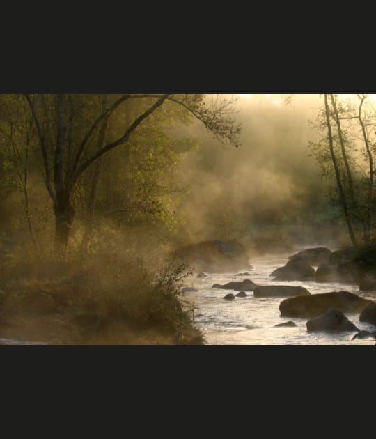 Brume matinale