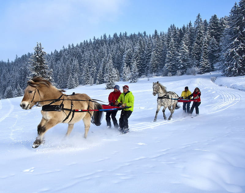 O&ugrave; partir &agrave; la neige sans skier&nbsp;? Avoriaz en Haute-Savoie