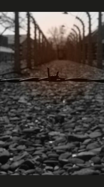 Binjamin Wilkomirski : il se fait passer pour un&nbsp;survivant de l'Holocauste