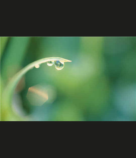 La goutte d'eau en macro