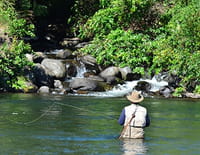 Roi des rivières : Début de saison sur la belle rivière Petit Pabos