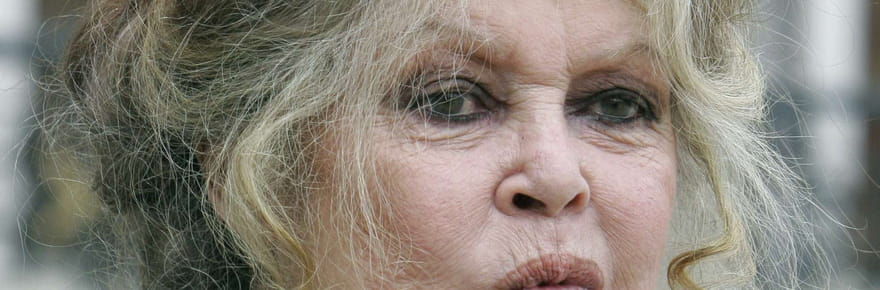 &Agrave; 91&nbsp;ans, Brigitte Bardot vit isol&eacute;e dans le Var, se plaint des fans et refuse de sortir de chez elle