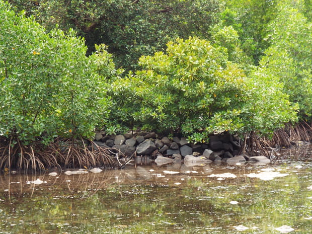 Nan Madol : centre cérémoniel de la Micronésie