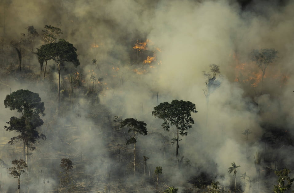 L'Amazonie br&ucirc;le...
