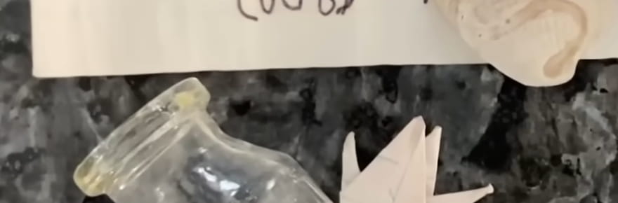 Un enfant trouve un message dans une bouteille, sa m&egrave;re envoie un SMS au num&eacute;ro indiqu&eacute; et n'en revient pas
