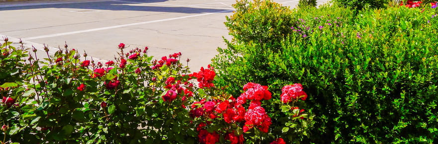 Des prix d'il y a 20&nbsp;ans, des plages d&eacute;sertes et l'&eacute;t&eacute; sans fin&nbsp;: cette &icirc;le secr&egrave;te a tout pour plaire