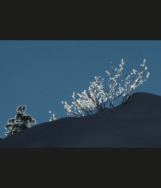 Nature &eacute;tincelante