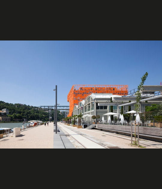 Au bord de la Sa&ocirc;ne