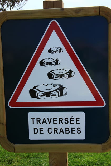 Sauve qui peut les pneux !