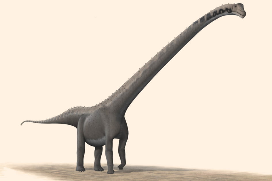 Ces&nbsp;dinosaures incroyables ont &eacute;t&eacute; d&eacute;couverts derni&egrave;rement&nbsp;: un sauropode particuli&egrave;rement robuste