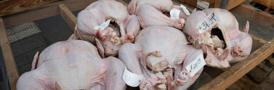 Grippe aviaire et inflation mettent au r&eacute;gime les tables de f&ecirc;te des deux c&ocirc;t&eacute;s de l'Atlantique
