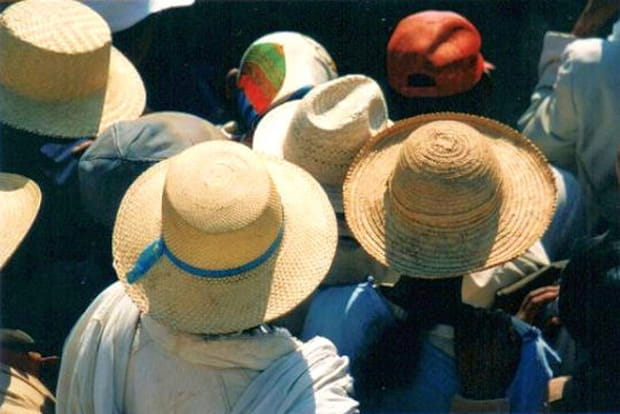 Chapeaux de paille