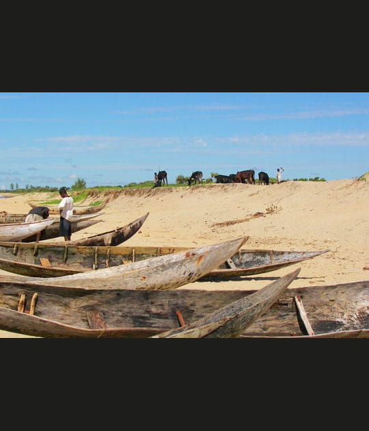 Pirogues sur la plage