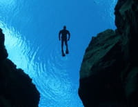 Au coeur des abysses : Créatures des profondeurs