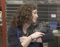 La clinique des animaux exotiques : Un porcelet glouton