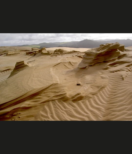 Entre le sable et le vent...