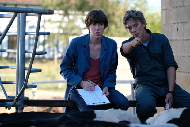 Petit Paysan - Photo 4