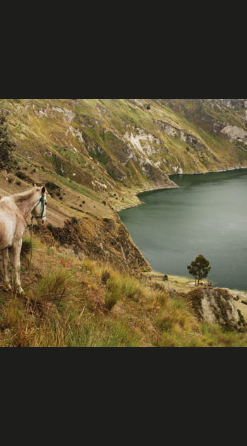 En&nbsp;Equateur,&nbsp;au&nbsp;coeur&nbsp;d'une&nbsp;biodiversit&eacute;&nbsp;authentique