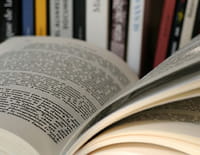 La p'tite librairie : White, par Bret Easton Ellis