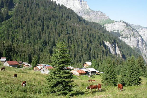 Sixt Fer à Cheval