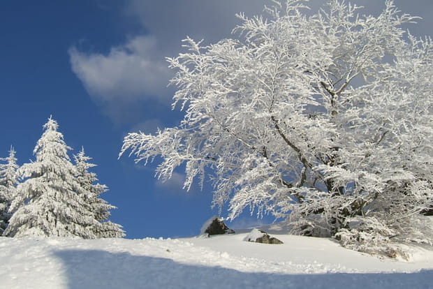 Découvrir le milieu naturel du parc
