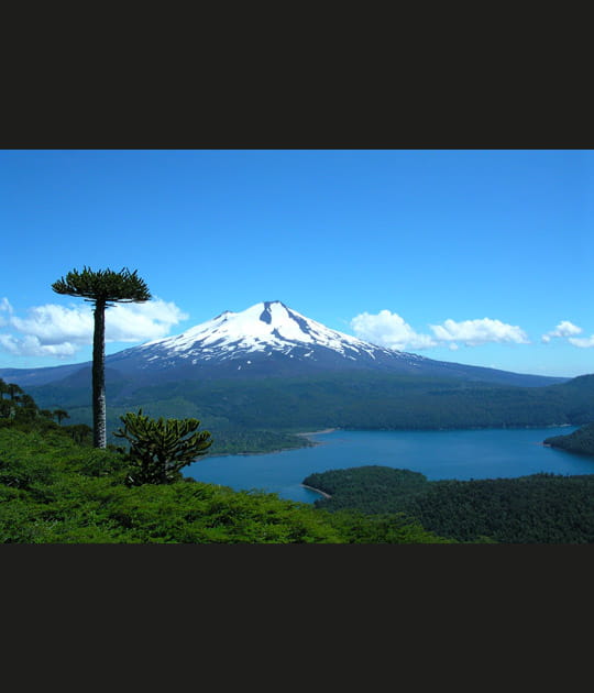 Volcan Llaima