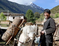 Les plus beaux parcs nationaux d'Asie : Le trésor de l'Himalaya