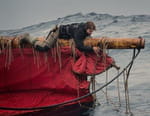 Vikings : l'aventure américaine