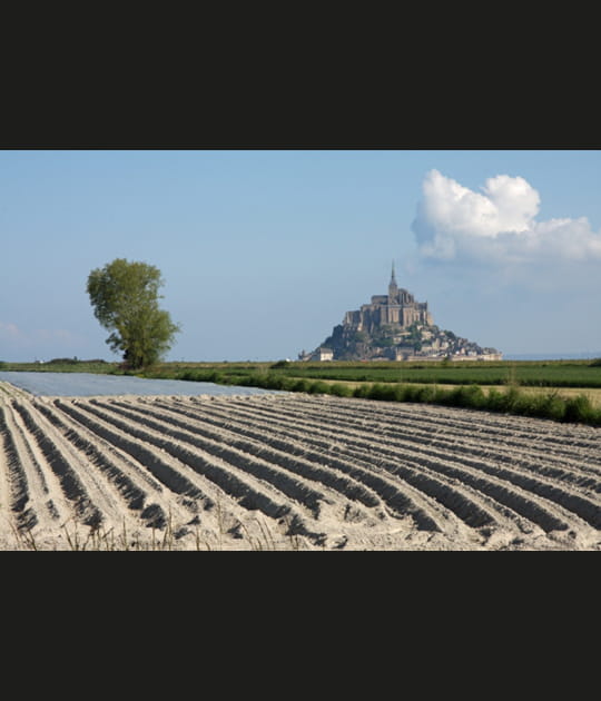 Les labours du Mont