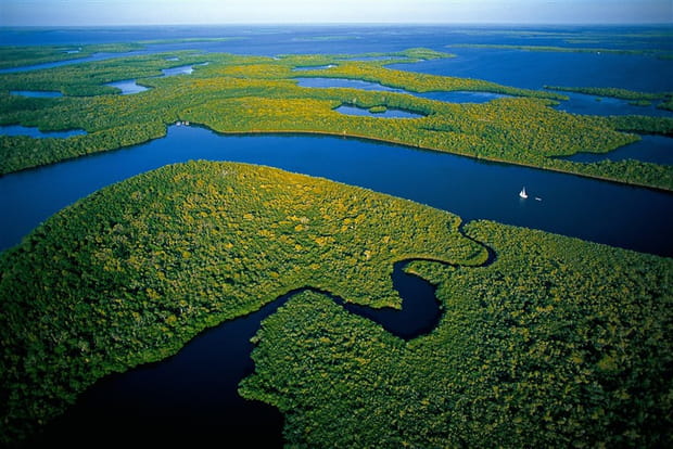 Restauration des Everglades