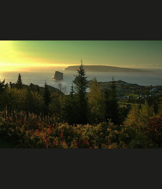 Surnaturelle Gasp&eacute;sie