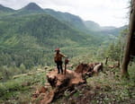 The Last Woodsmen