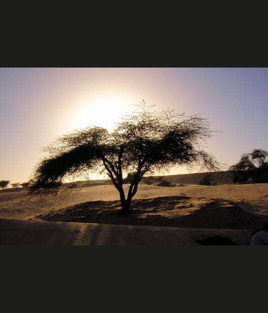 Sur le plateau de l'Adrar