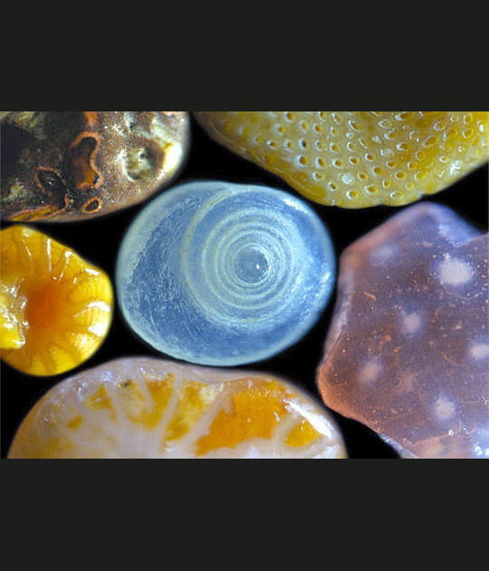 Grains de sable en folie