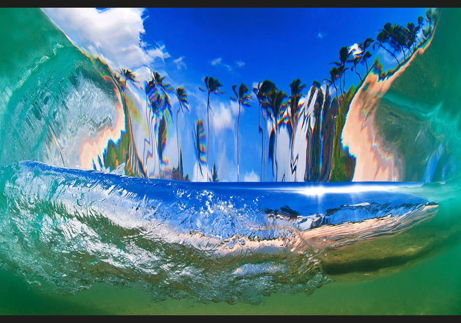 Coconut Island