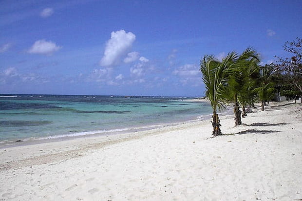 Plage des Raisins Clairs