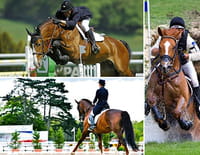 Equitation - Coupe du monde de saut d'obstacles 2019/2020