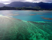 Puissante planète : L'eau, source de vie