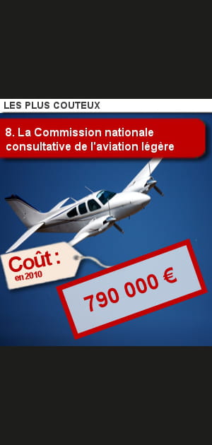 8. La Commission nationale consultative de&nbsp;l'aviation l&eacute;g&egrave;re
