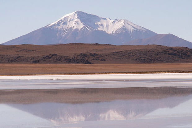A la surface de l'eau