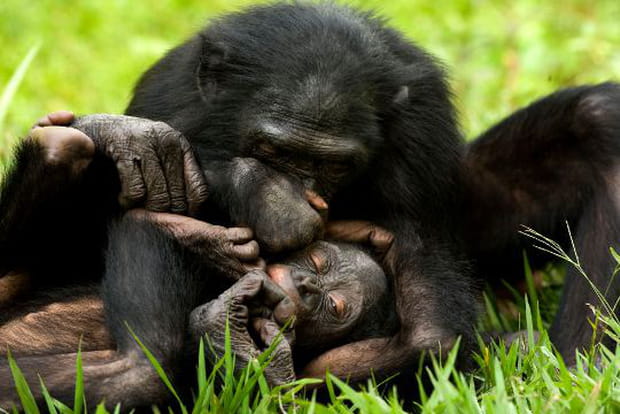 Une réputation à tenir